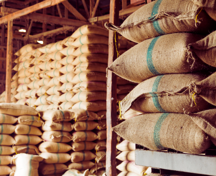 Buy Bulk Indian Spices