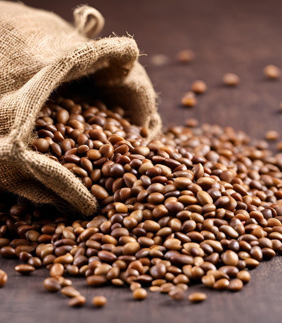 Wholesale Horse Gram